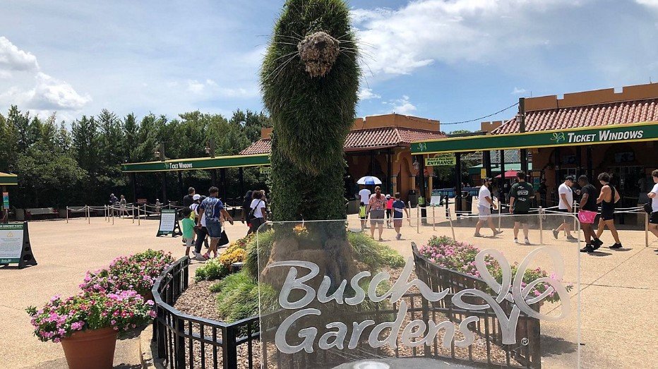 Thrills And Chills A Guide To Conquer Busch Gardens Tampa Bays Top